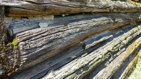 Forest Moving In - Furnace-Falls-(ghost-town)-231.jpg