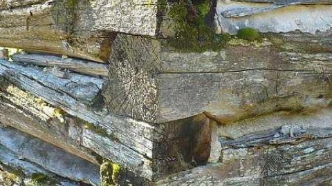 Forest Moving In - Furnace-Falls-(ghost-town)-232.jpg