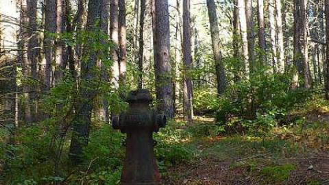 Algonquin History - Highland-Inn-Remains13.jpg