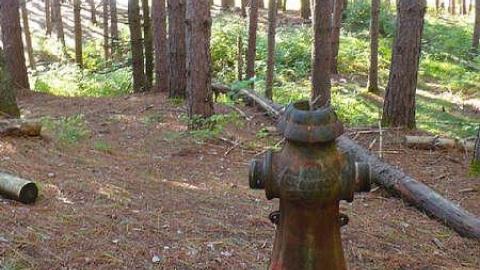 Algonquin History - Highland-Inn-Remains15.jpg