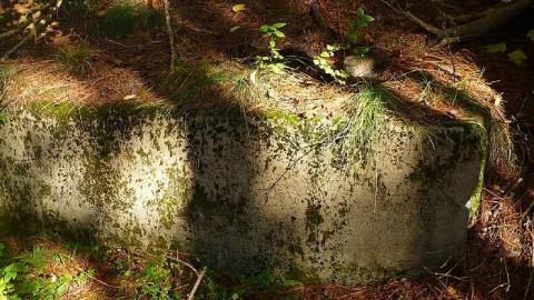 Algonquin History - Highland-Inn-Remains20.jpg