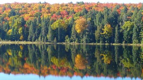 Algonquin History - Highland-Inn-Remains25.jpg