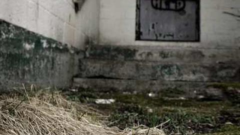 Photo from Old School