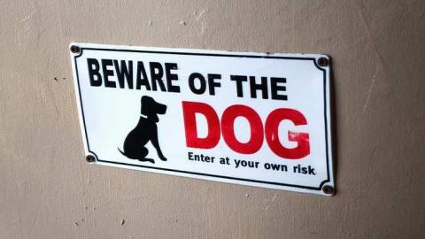 Snowy Check In '14 - DSC07314.jpg