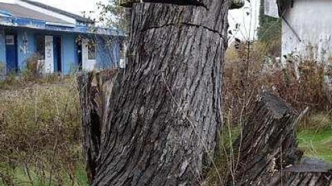 Snowy Check In '14 - lpDSC07360.jpg