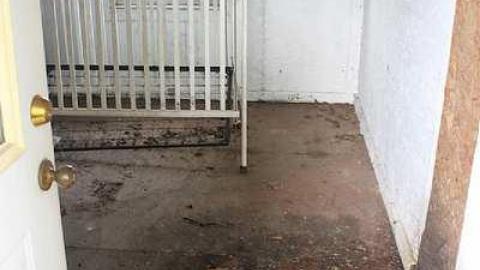 Paint Peeling Place - IMG_6227.jpg