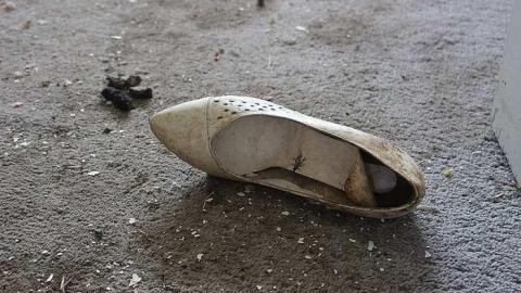 Photo from Paint Peeling Place