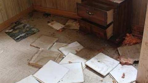 Photo from Paint Peeling Place