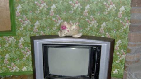 Summer 2014 - Abandoned-Cat-Lady-House296.jpg