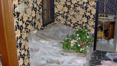 Summer 2014 - Abandoned-Cat-Lady-House297.jpg