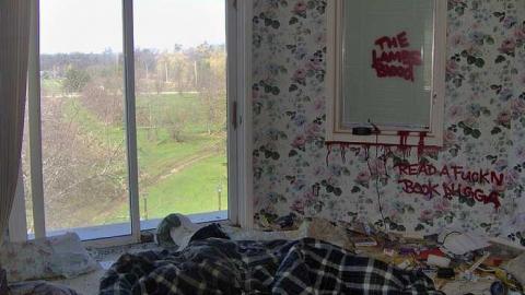 Summer 2014 - Abandoned-Cat-Lady-House356.jpg