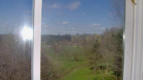 Summer 2014 - Abandoned-Cat-Lady-House357.jpg