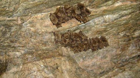 Craigmont mine  - Craigmont-(ghost-town)10.jpg