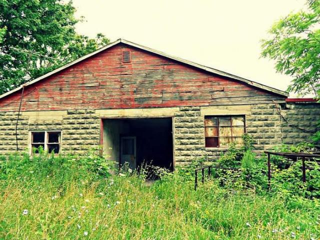 Steel To Bed photo 2