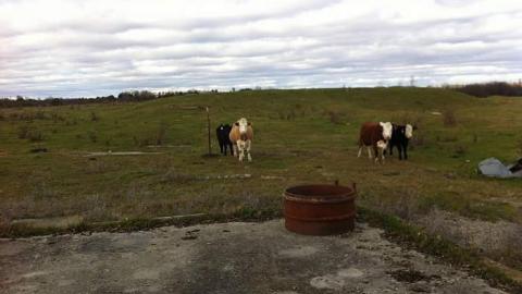 Diefenbunker TX bunker - Diefenbunkers-TX-Bunker6.jpg