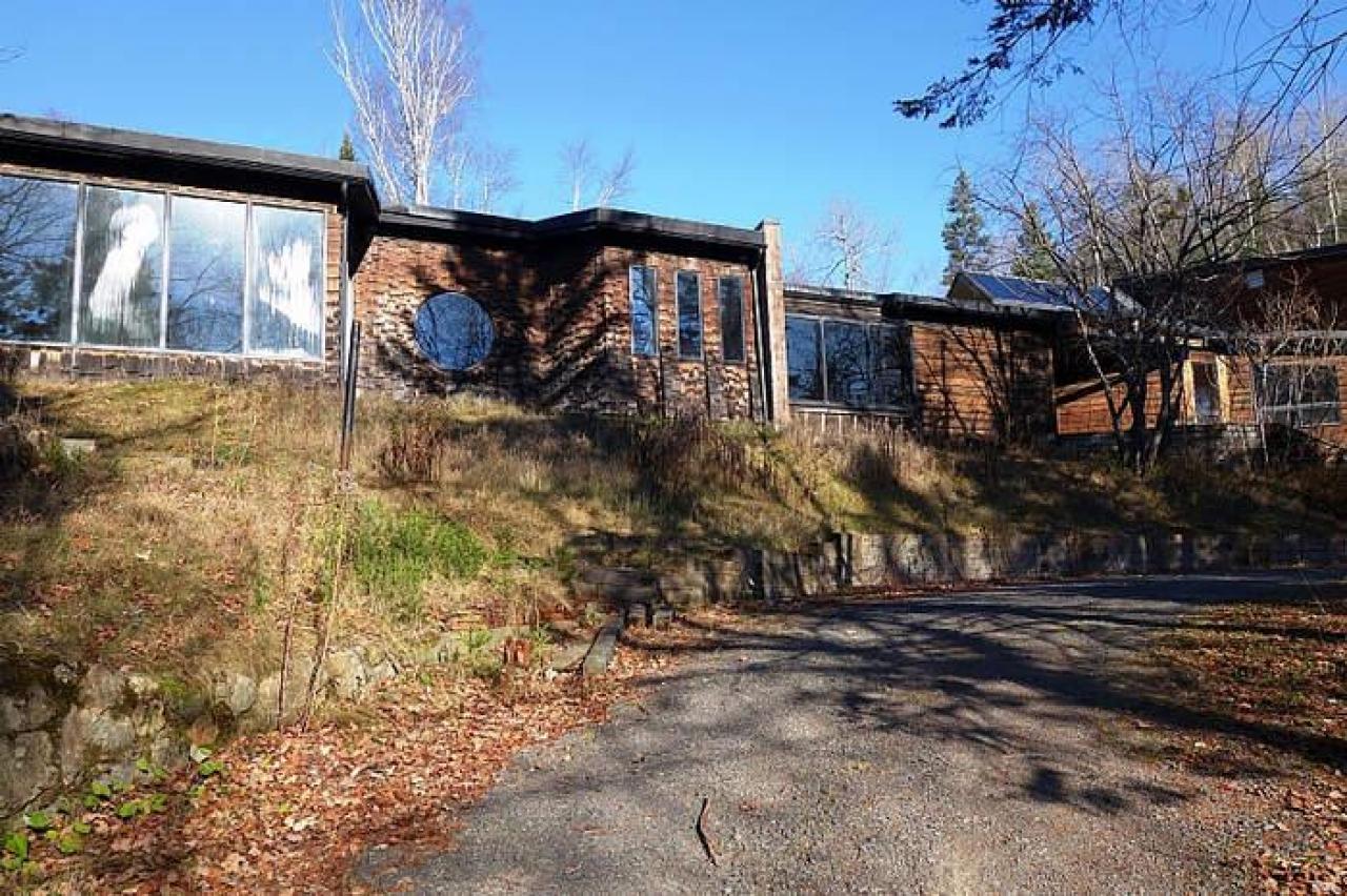 Nov '14 - DSC07830.jpg