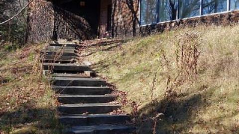 Nov '14 - DSC07831.jpg