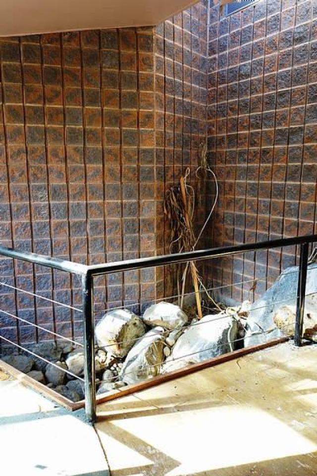 Nov '14 - DSC07841.jpg