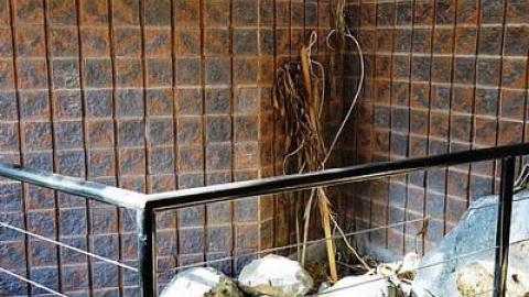 Nov '14 - DSC07841.jpg