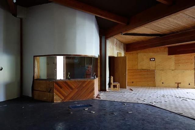 Nov '14 - DSC07851.jpg