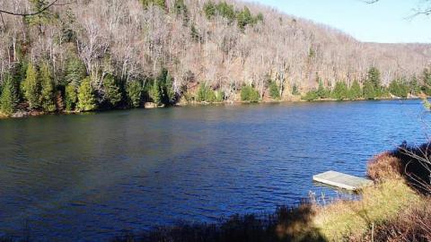 Nov '14 - DSC07914.jpg