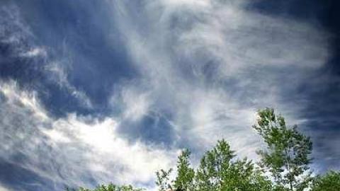 Photo from Tin Shack, Government Road