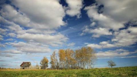 Sylvan Valley Shack- Echo Bay photo 3