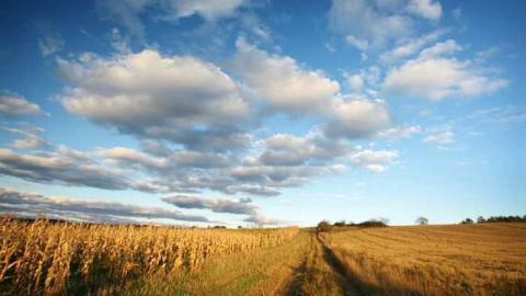 Sylvan Valley Shack- Echo Bay photo 2