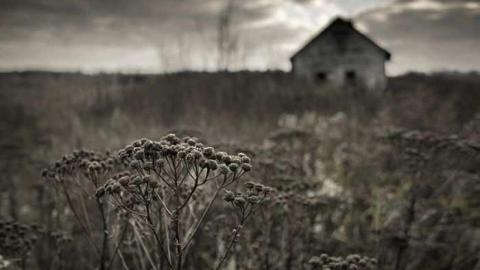 Dumond Road Location - A-Whole-Bunch-on-One-Road2.jpg