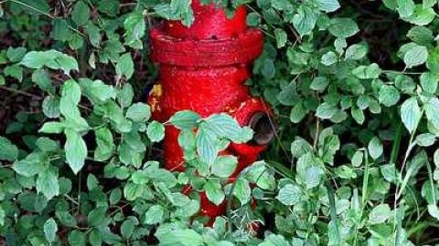 Camp 30 - Camp-30-Bowmanville782.jpg