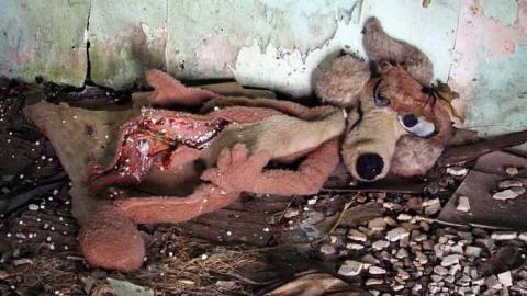 Dumond Road Location - A-Whole-Bunch-on-One-Road9.jpg