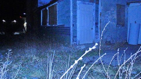 Night Flight - OAP Wat.Region 005li.jpg