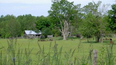 Gallery - Mount-Horeb-(ghost-town)3.jpg