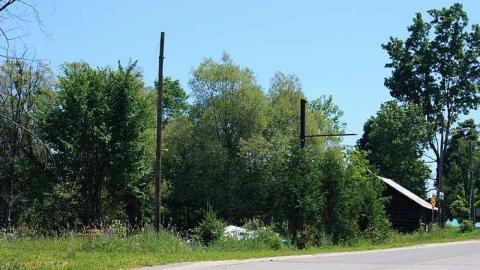 Nov 2013 - Flinton15.jpg