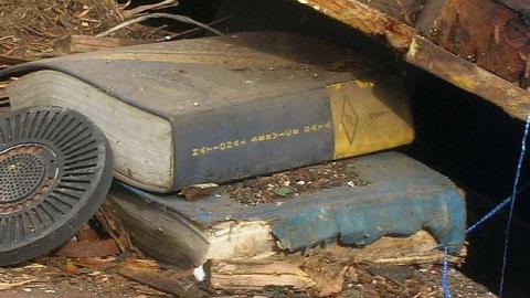 Nov 2013 - Flinton30.jpg