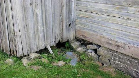 Photo from Ottawa Journal