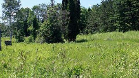 July 2014 - Back to Nature - Land-O-Lakes-Motel20.jpg