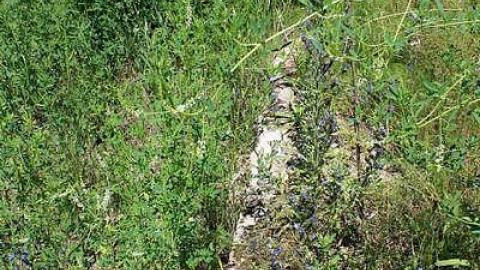 Land O' Lakes Motel photo 5