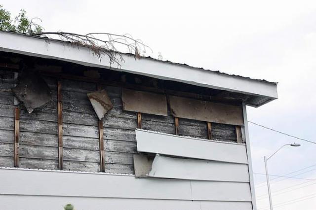 Green Thumb - Black Kitchen photo 3