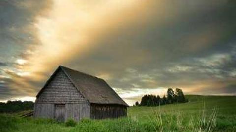 Leeburn Shack photo 3