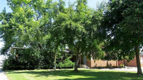 Cummer Ave School ~ June 2014 - Cummer-Ave.-Public-School8.jpg