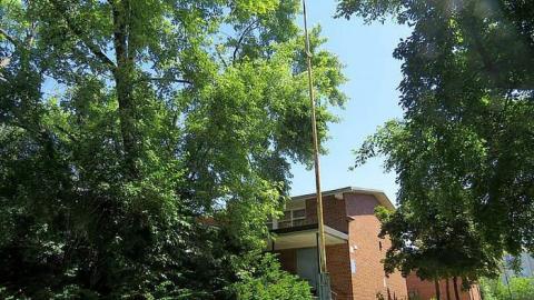 Cummer Ave School ~ June 2014 - Cummer-Ave.-Public-School25.jpg