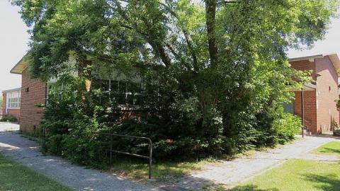 Cummer Ave School ~ June 2014 - Cummer-Ave.-Public-School9.jpg