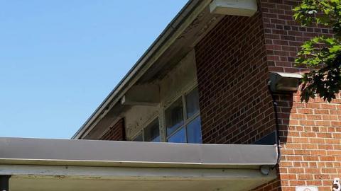 Cummer Ave School ~ June 2014 - Cummer-Ave.-Public-School16.jpg