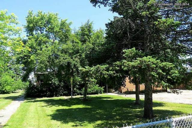 Cummer Ave. Public School photo 4