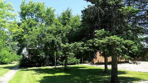 Cummer Ave School ~ June 2014 - Cummer-Ave.-Public-School17.jpg