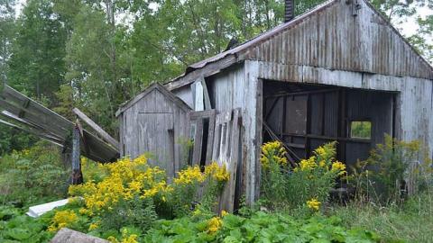 empty house and garage - DSC_0121.jpg
