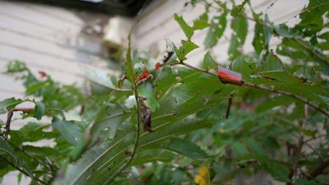 spring 2014 - Old-House-on-the-Trail5.jpg