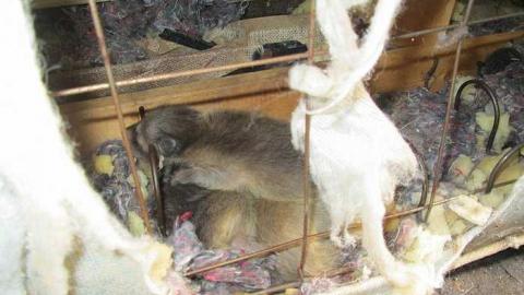 Taken Her Down - The-Hub29.jpg