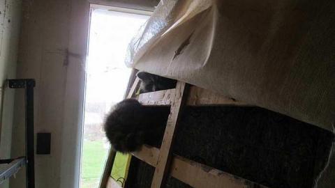 Taken Her Down - The-Hub30.jpg